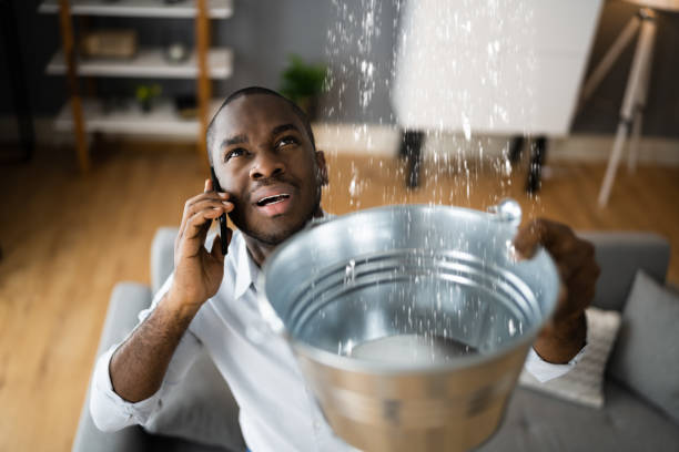 Best Professional water damage repair  in La Fayette, AL