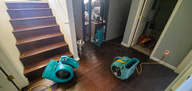 Best Basement water damage restoration  in La Fayette, AL