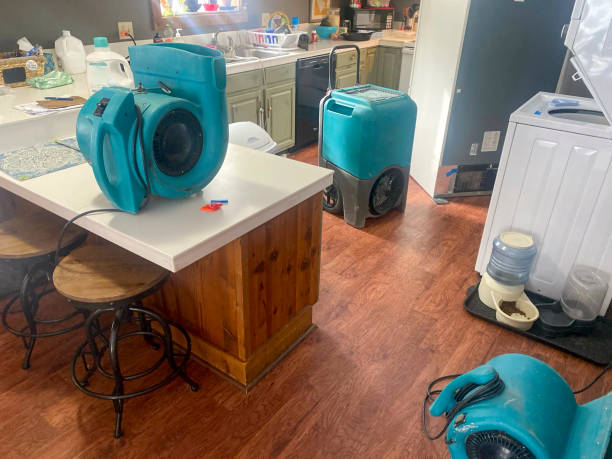 Best Water damage restoration near me  in La Fayette, AL