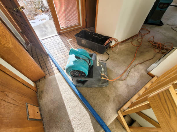 Best Water damage restoration process  in La Fayette, AL