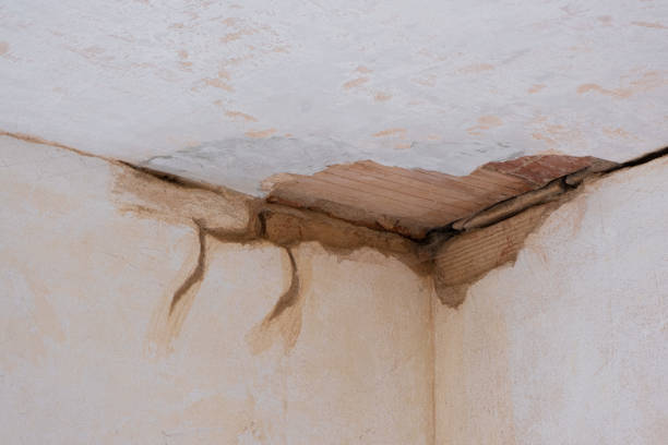 Best 24/7 water damage repair  in La Fayette, AL