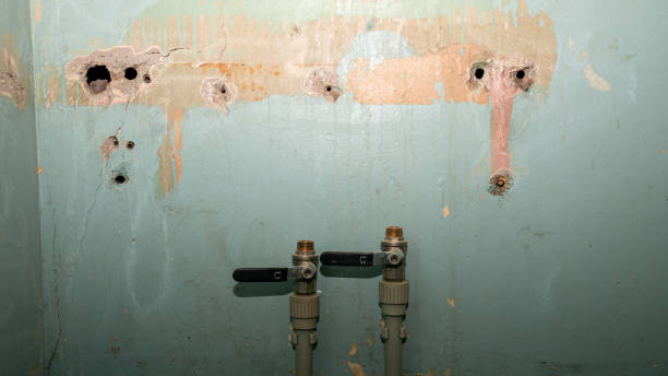 Best Water damage repair service  in La Fayette, AL