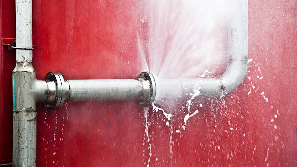 Best Flooded house restoration  in La Fayette, AL